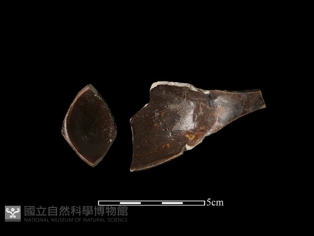湯匙藏品圖，第1張