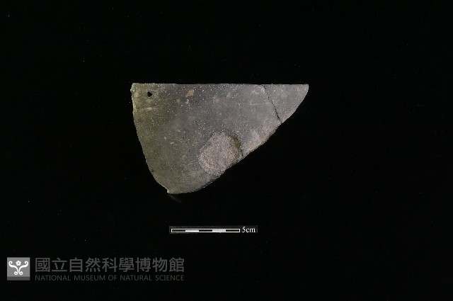 陶片藏品圖，第1張