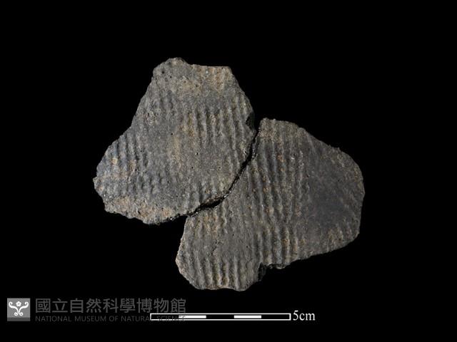 陶片藏品圖，第1張