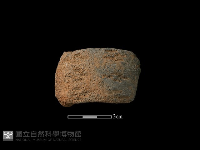 陶把藏品圖，第1張