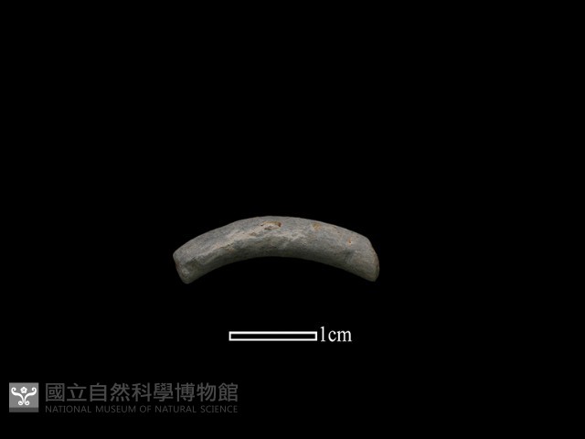 陶環藏品圖，第1張