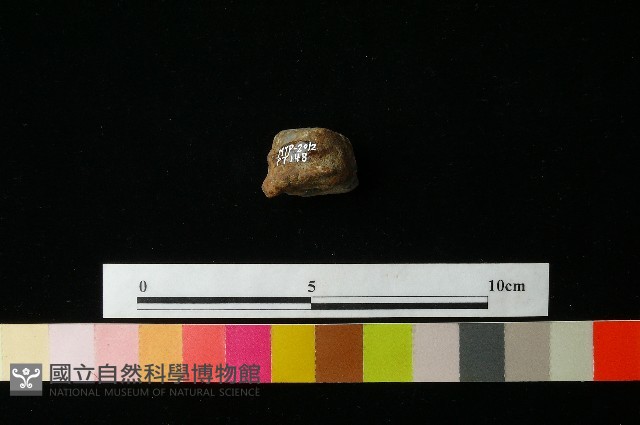 陶鈕藏品圖，第2張