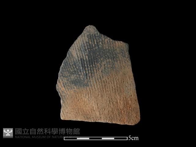 陶片藏品圖，第1張