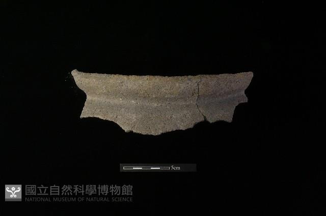 陶罐藏品圖，第2張