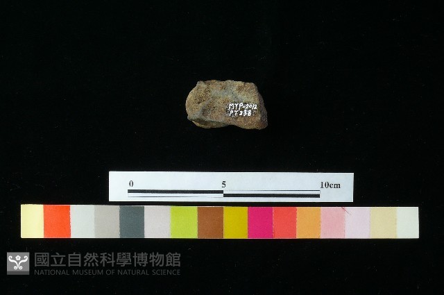 陶蓋藏品圖，第2張