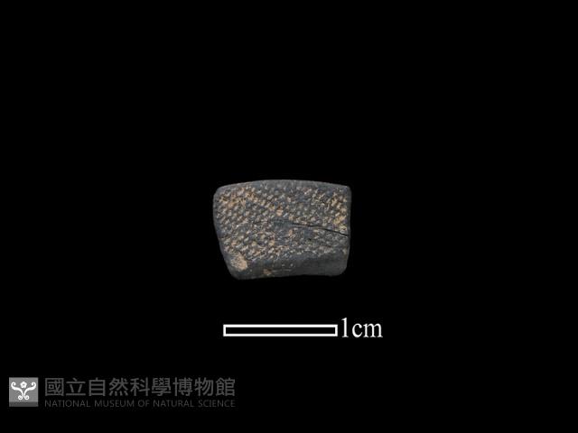 陶環藏品圖，第1張