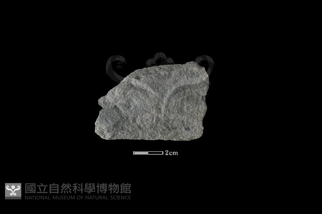 石片器藏品圖，第1張