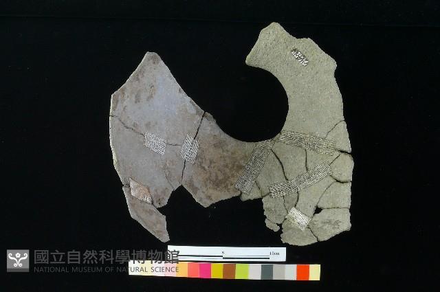 陶罐藏品圖，第2張