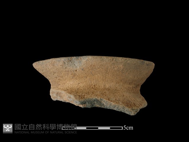 陶罐藏品圖，第2張