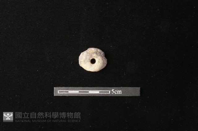 紡輪藏品圖，第2張