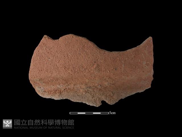 陶片藏品圖，第1張