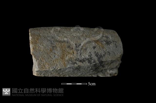 石杵藏品圖，第1張