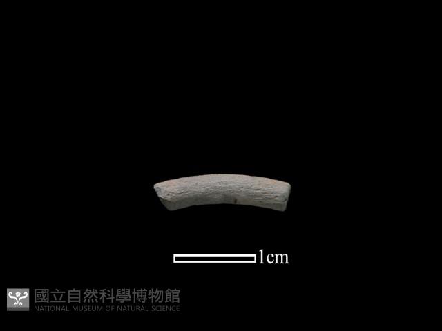 陶環藏品圖，第1張