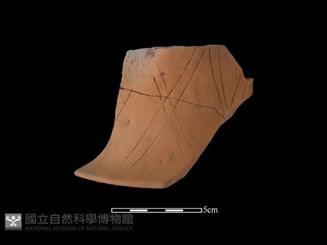 陶片藏品圖，第2張