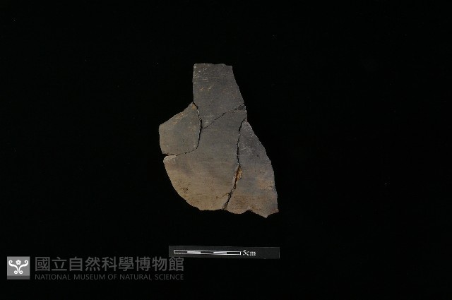 陶片藏品圖，第2張