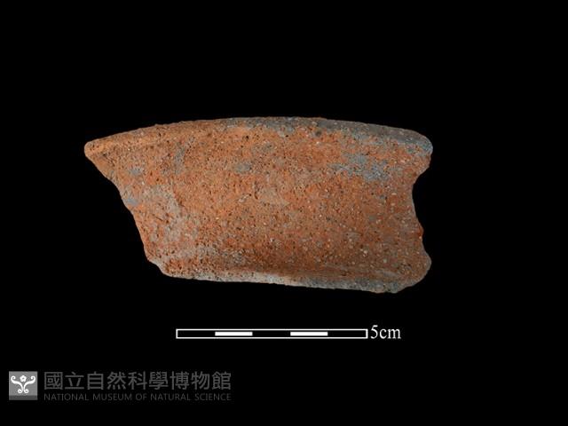 陶罐藏品圖，第1張