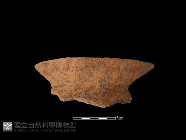 陶罐藏品圖，第1張