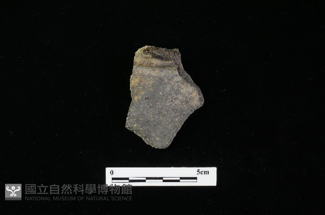 陶罐藏品圖，第1張