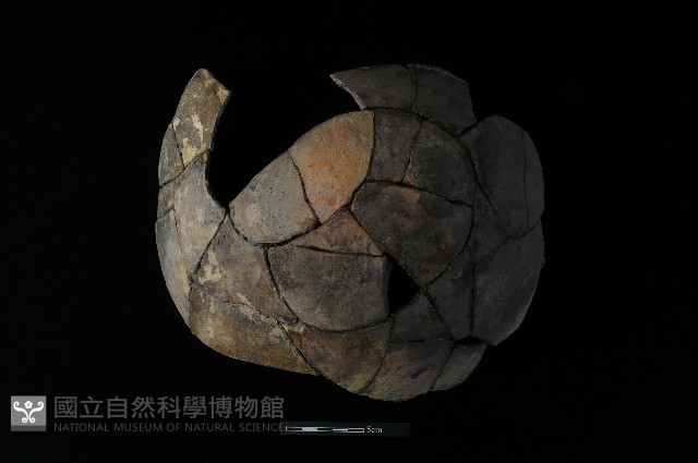 陶片藏品圖，第2張