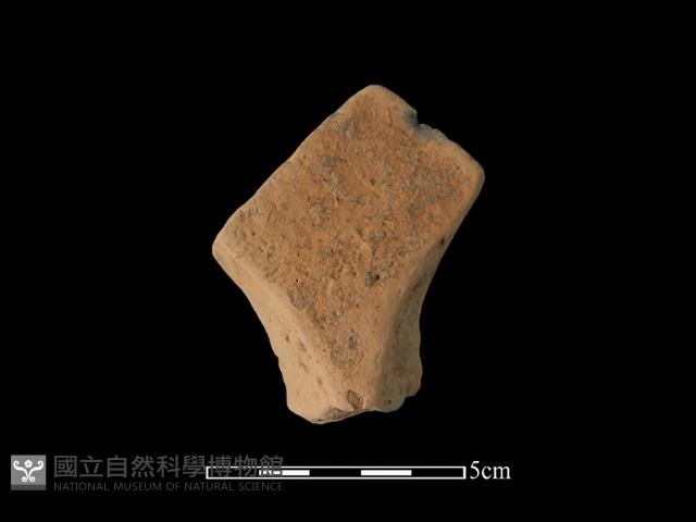 Accession Number:TC273-2018-202 Collection Image, Figure 2, Total 2 Figures