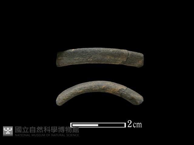 陶環藏品圖，第1張