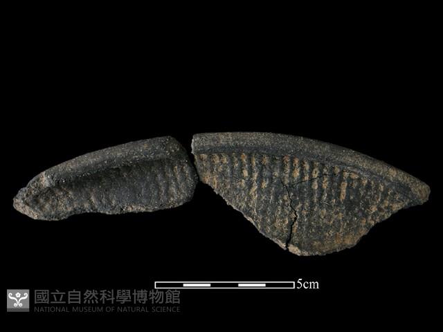 Accession Number:NSKII-2017-502 Collection Image, Figure 2, Total 2 Figures