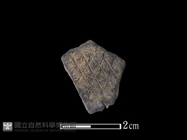 陶片藏品圖，第1張