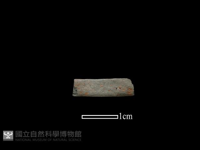 陶環藏品圖，第1張