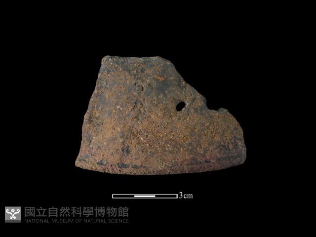 陶片藏品圖，第1張