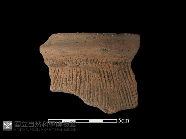 陶罐藏品圖，第2張