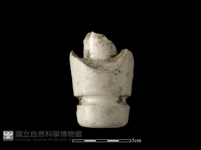 礙子藏品圖，第2張