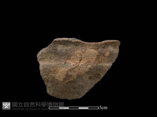 陶缽藏品圖，第1張