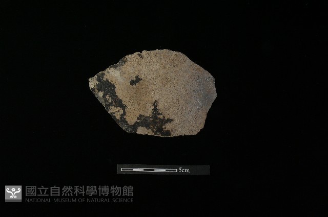 陶片藏品圖，第1張