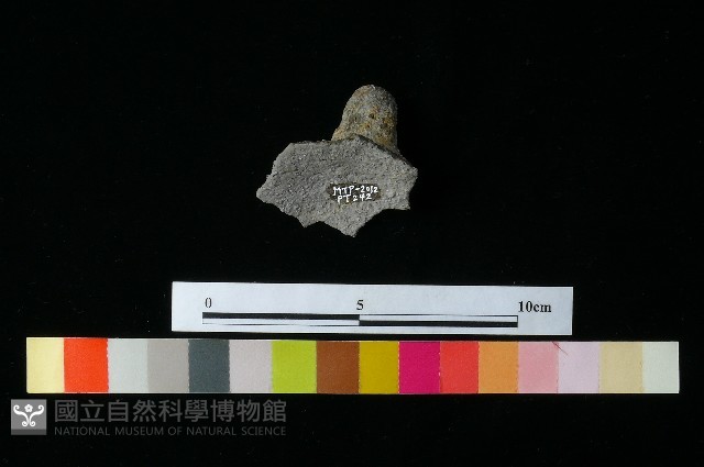 陶把藏品圖，第2張