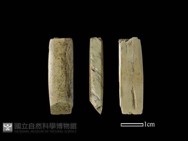 錛鑿形器藏品圖，第1張