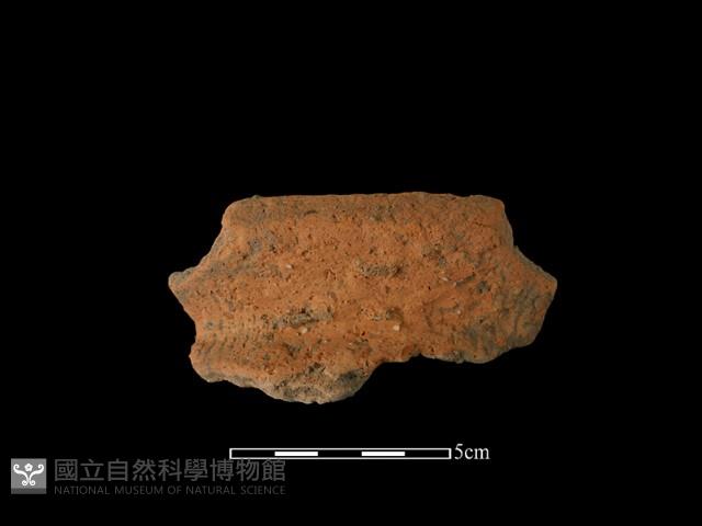 陶罐藏品圖，第1張