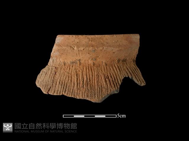 陶罐藏品圖，第1張