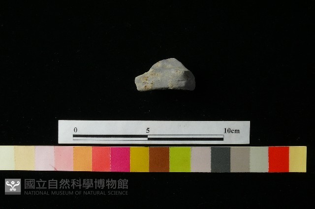 陶蓋藏品圖，第2張