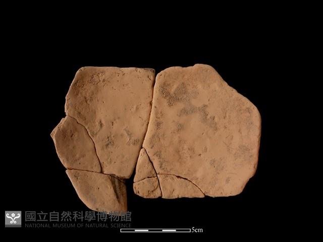 連杯形器藏品圖，第1張