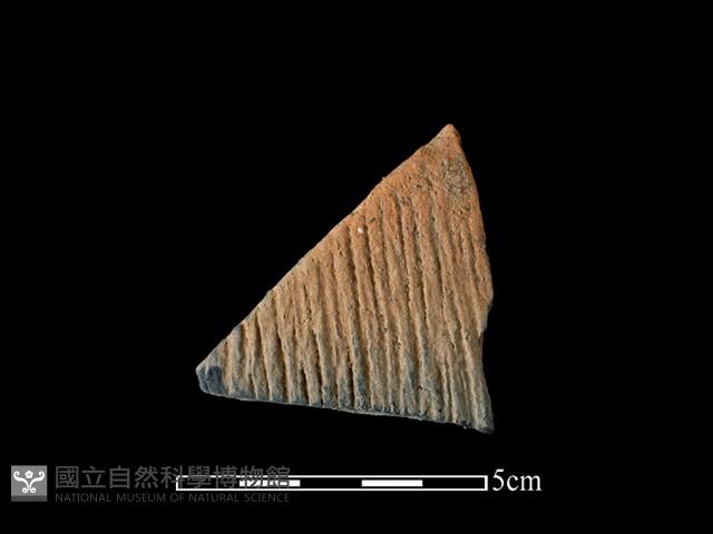 陶片藏品圖，第1張