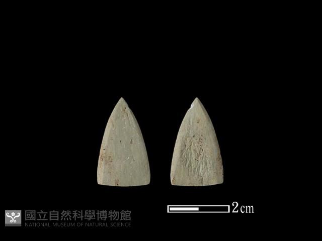 矛鏃形器藏品圖，第1張