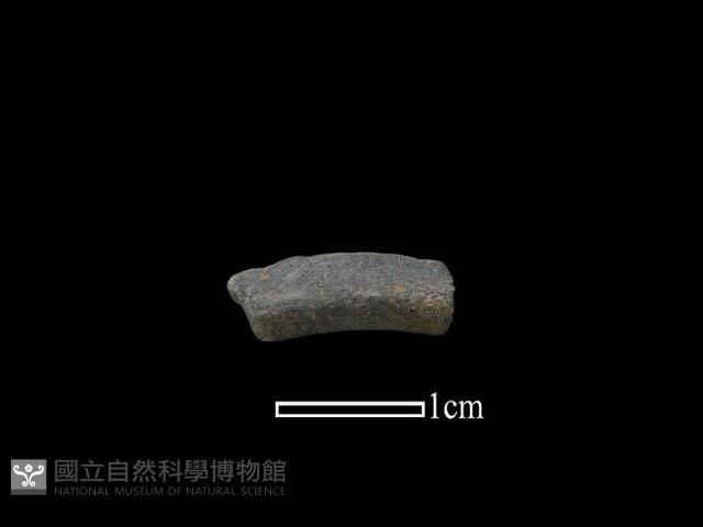 陶環藏品圖，第1張