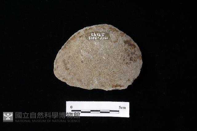 Accession Number:MTP-2012-ST192 Collection Image, Figure 2, Total 2 Figures