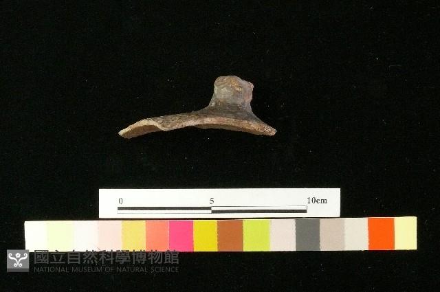 陶蓋藏品圖，第2張