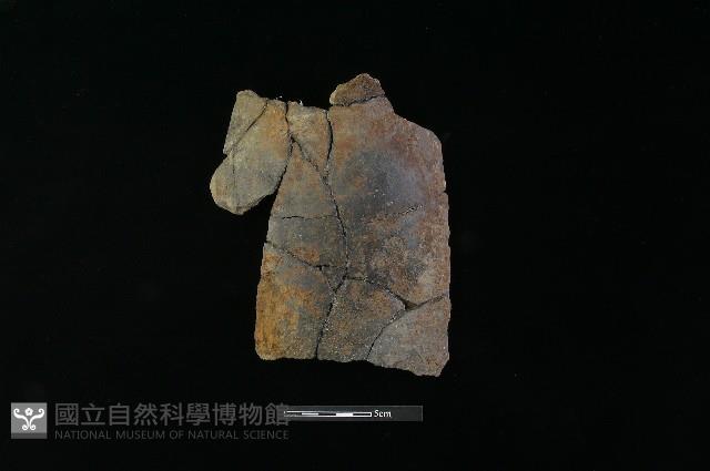 陶罐藏品圖，第2張