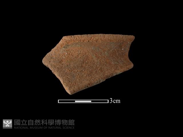 陶罐藏品圖，第1張