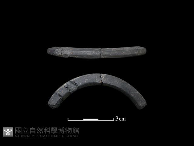 陶環藏品圖，第1張