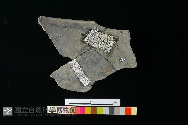 陶缸藏品圖，第1張