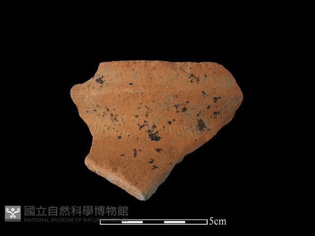 陶罐藏品圖，第1張