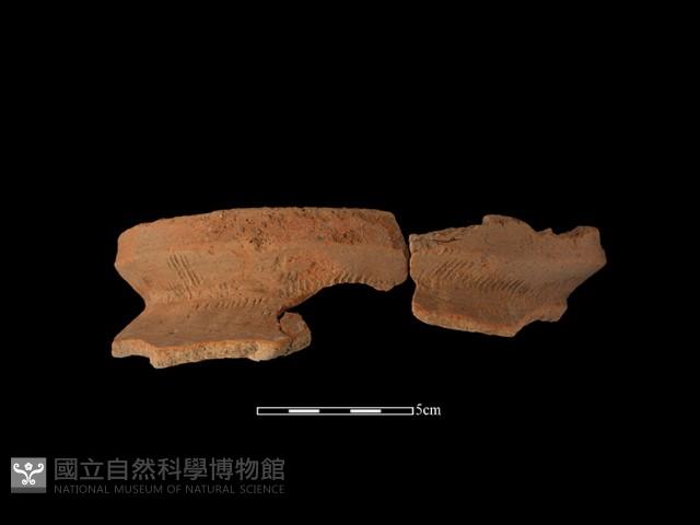 陶罐藏品圖，第2張